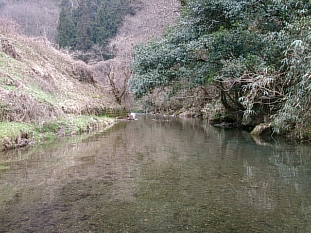 春、ですねっ!_a0167998_10552046.jpg