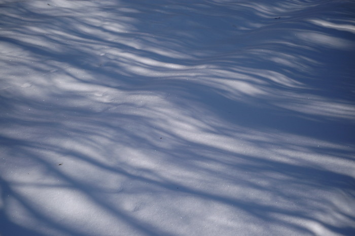 雪上の流れ_f0175998_0442038.jpg