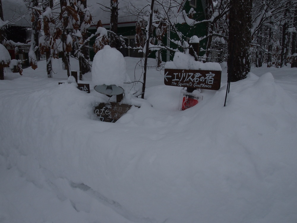昨日から大雪の中札内村。看板は埋もれ‥通路は雪の壁‥_f0276498_15561801.jpg