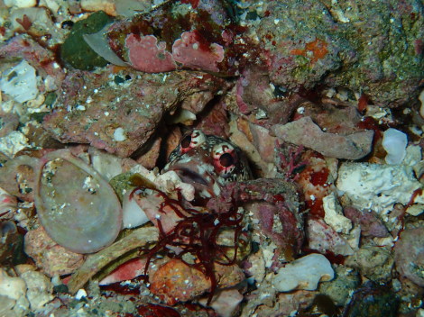 e0115199_14454404.jpg