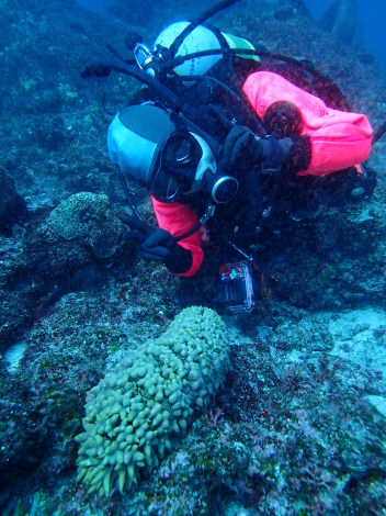 e0115199_14455902.jpg