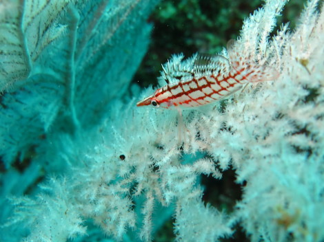 e0115199_19295587.jpg