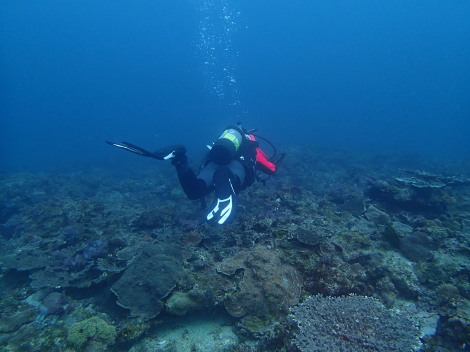 e0115199_19561293.jpg