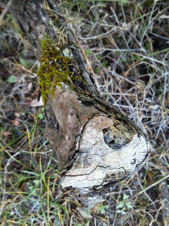 c0272200_13305565.jpg