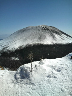 トーミの頭です。_e0028904_21312612.jpg