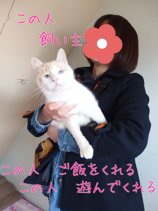 あたし・ねこ_a0177105_14165885.png