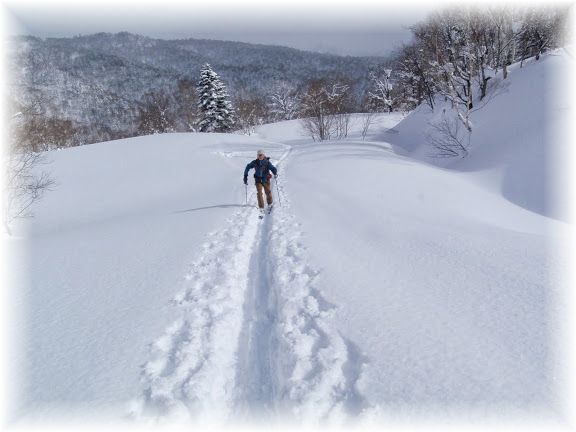 無意根山1464m◆途中撤退！◆2014.3.15_a0248508_16273111.jpg