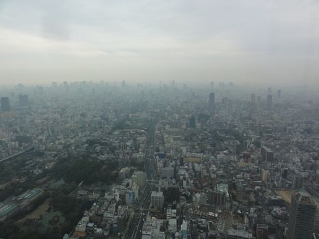 d0330311_21383356.jpg