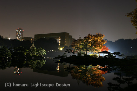 「下町秋の夜灯り」 清澄庭園 / 紅葉_f0322812_23255735.jpg