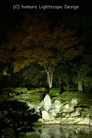 「下町秋の夜灯り」 清澄庭園 / 紅葉_f0322812_23255791.jpg