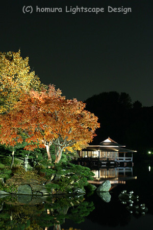 「下町秋の夜灯り」 清澄庭園 / 紅葉_f0322812_23255792.jpg