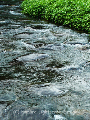 f0322812_23262833.jpg