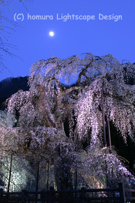 f0322812_23264414.jpg