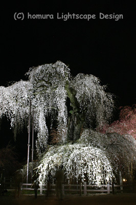 f0322812_23264582.jpg