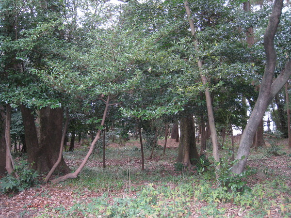 d0287413_1122944.jpg