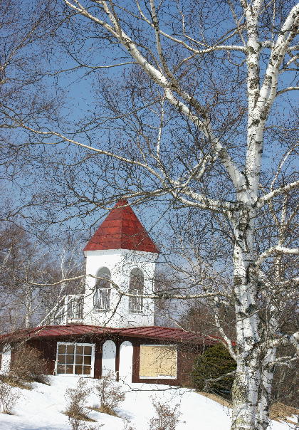 f0133013_87879.jpg