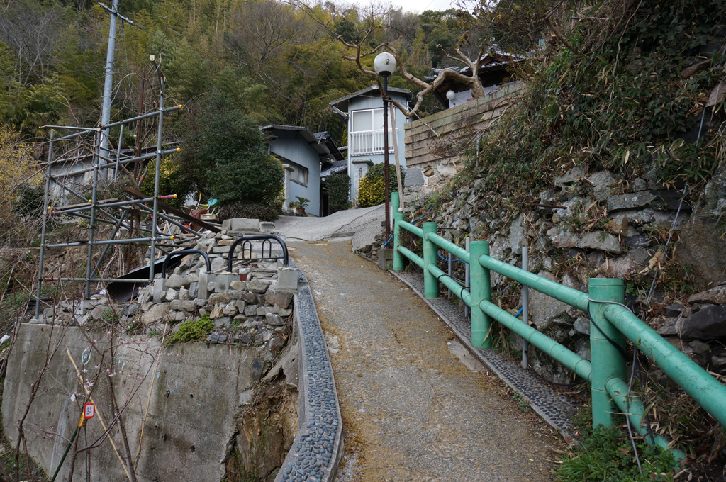 a0287517_237971.jpg