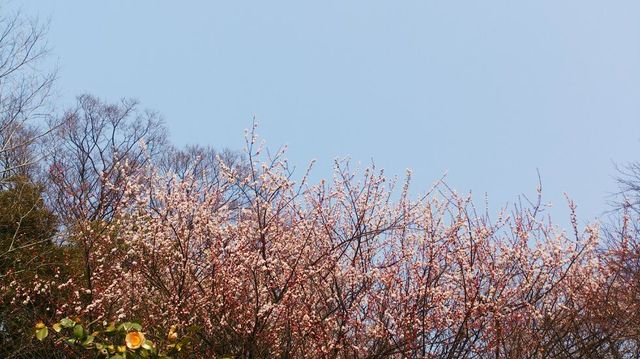 c0317717_22335014.jpg