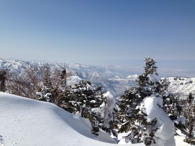 c0105120_7492657.jpg