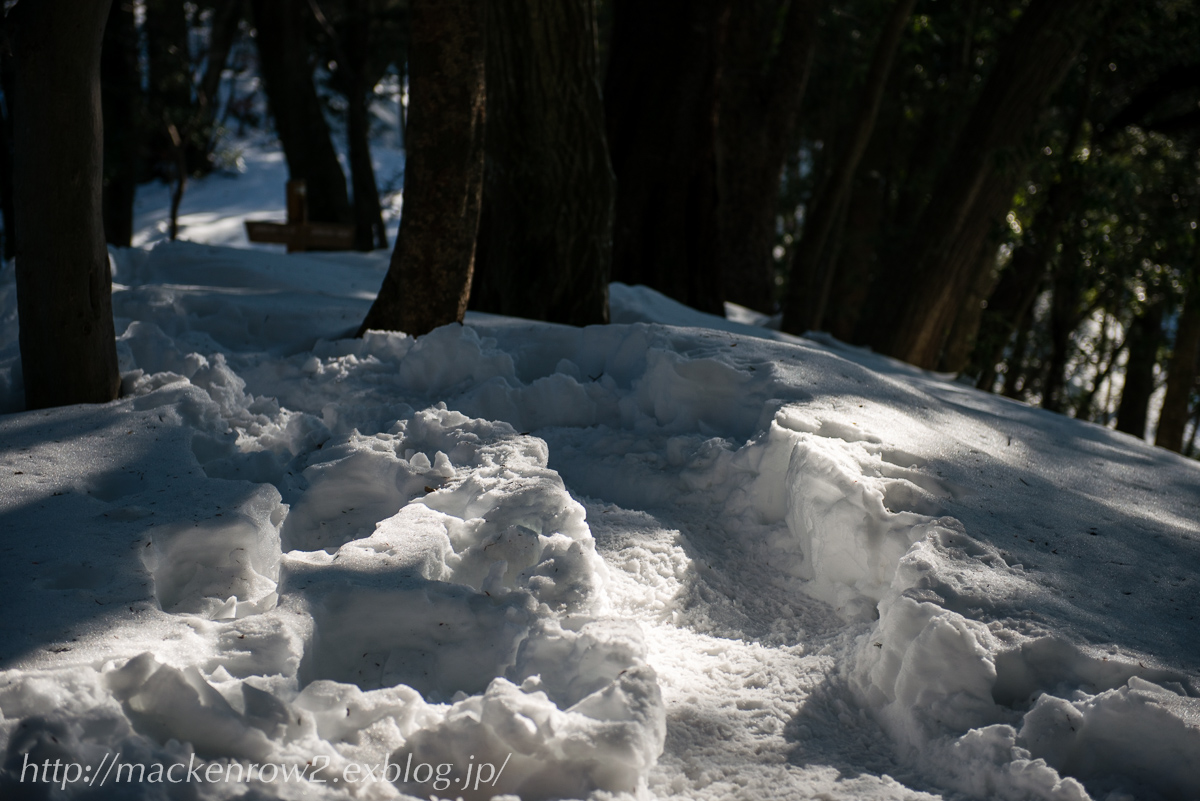 雪の高尾山 2_a0232322_10511276.jpg