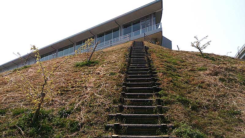 b0020828_21272316.jpg