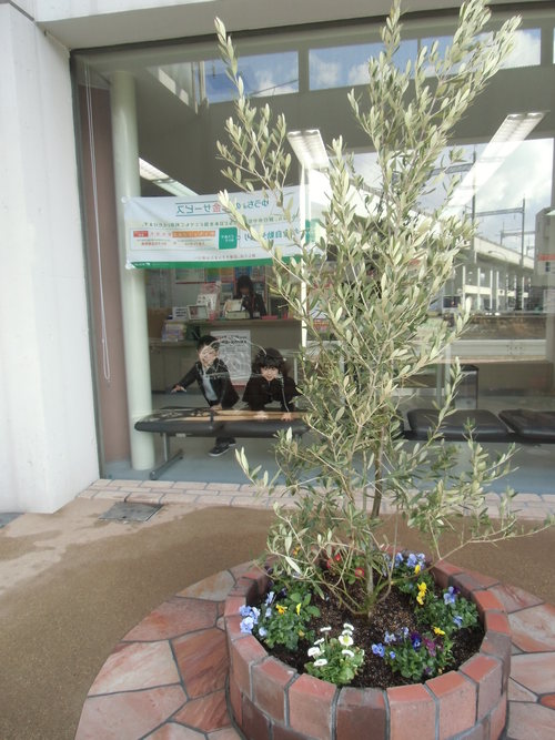 府中町H様邸 ガーデニングリフォーム_d0125228_8443225.jpg