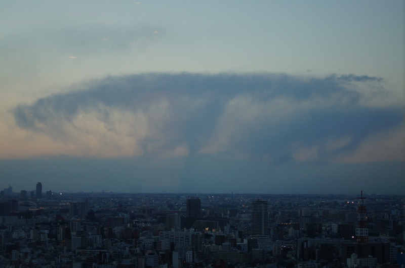 a0122932_1344963.jpg