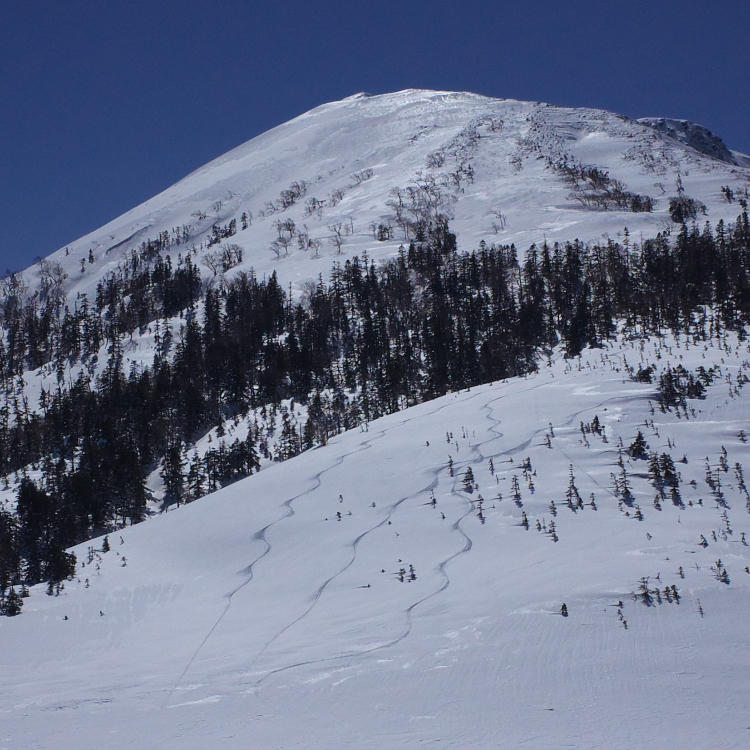 b0237035_114539100.jpg