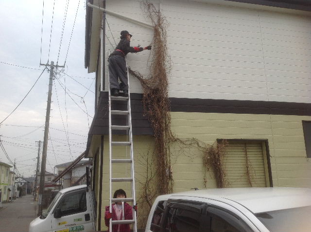 久々の植木伐採_f0031037_19363694.jpg