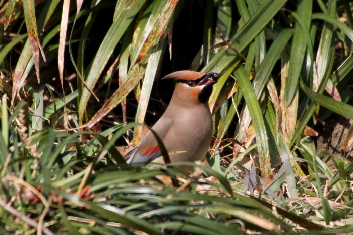 c0269342_16472972.jpg