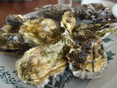 a0259943_1437410.jpg