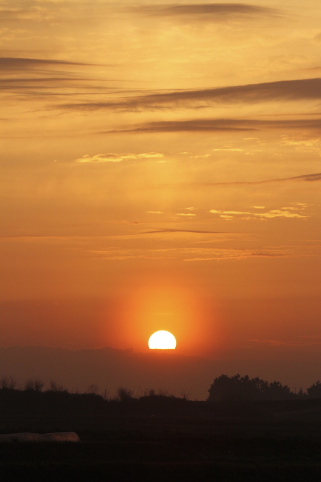 f0281446_06522434.jpg