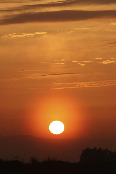 f0281446_06522682.jpg