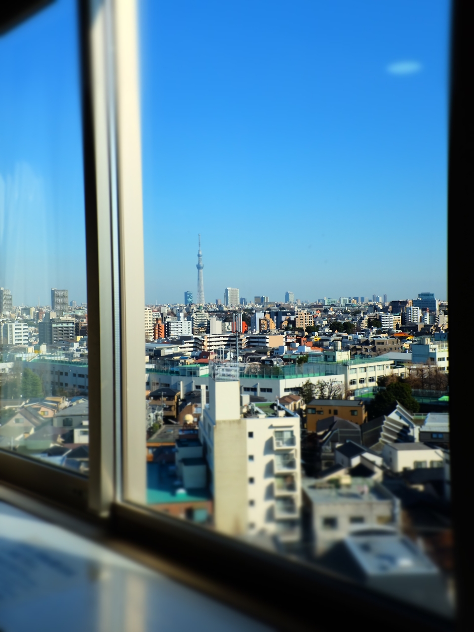 c0008948_23101245.jpg