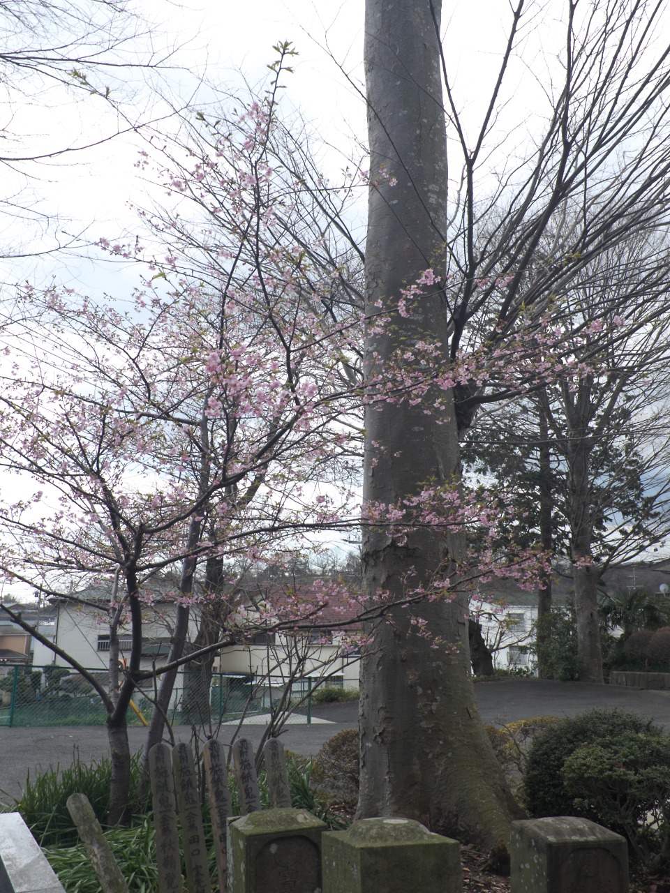 c0008948_237336.jpg
