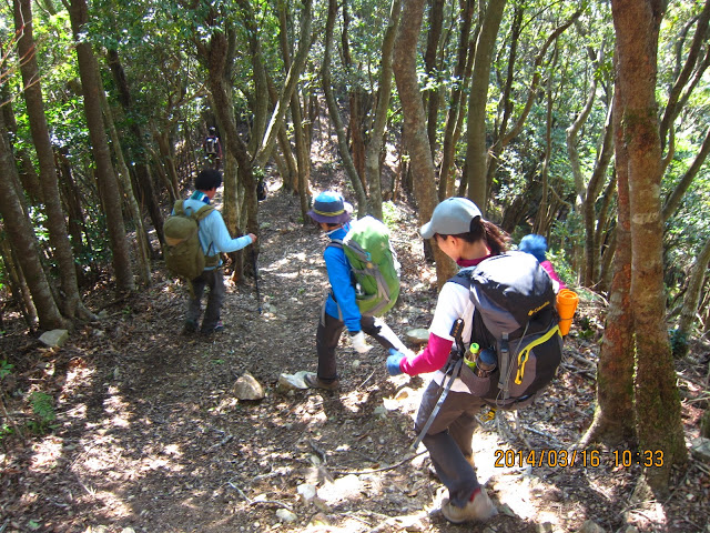 姫越山~佐座の高~熊野灘・錦湾_b0148050_17452896.jpg