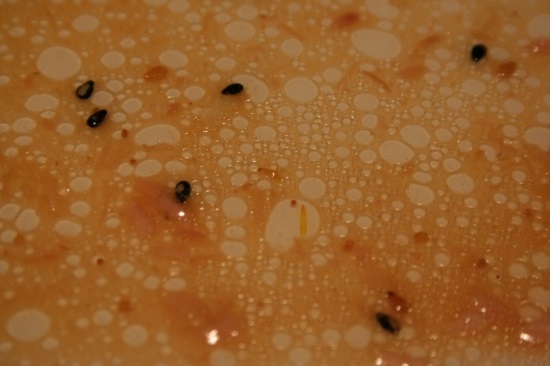 e0126350_01627100.jpg