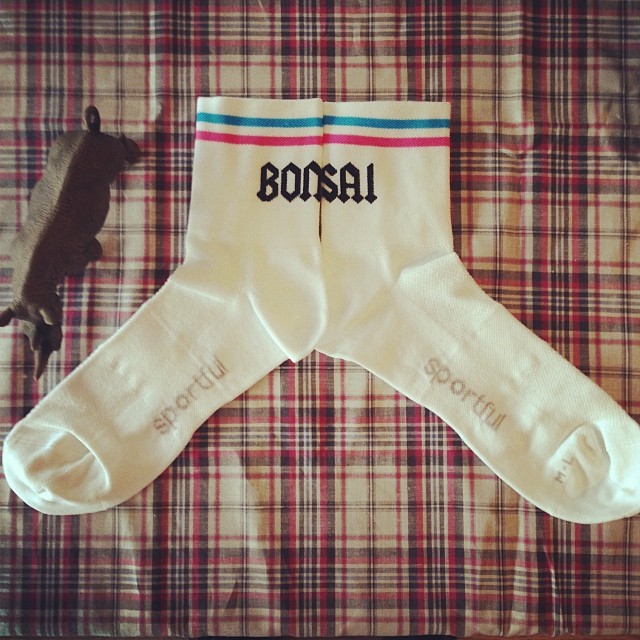 BONSAI SOCKS デビュー_e0154650_17363945.jpg