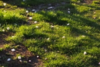 e0249850_14543292.jpg
