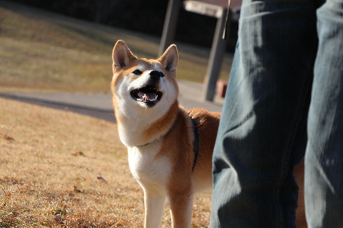 f0245650_00303942.jpg