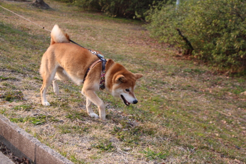 f0245650_00391446.jpg