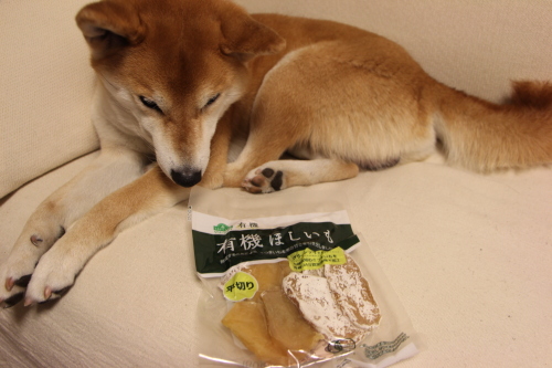 f0245650_00473253.jpg