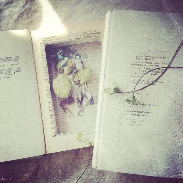 「Utopia in Books」21日からです。_e0060555_168949.jpg