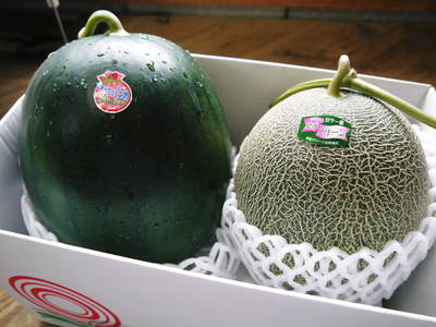 肥後グリーン 5月下旬の出荷に向けて、定植後の様子_a0254656_18534481.jpg
