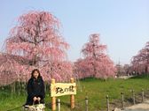 鈴鹿の森庭園 しだれ梅_f0109257_2037310.jpg