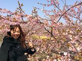 河津桜を見に、浜岡砂丘へ☆_f0109257_21223934.jpg