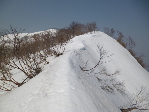 d0231858_22415020.jpg