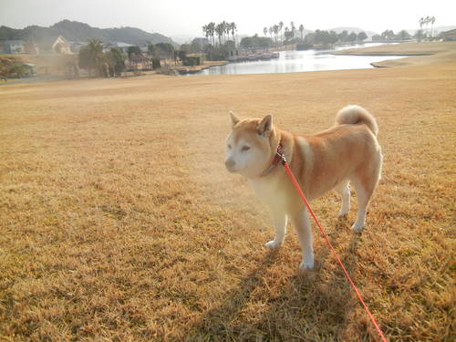’14,3,18(月)よく喋る!笑う!考える!歩く!_f0060461_14483564.jpg