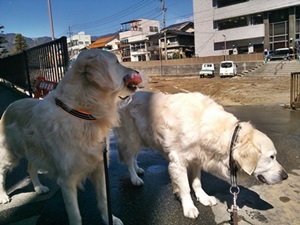 f0321567_1057279.jpg