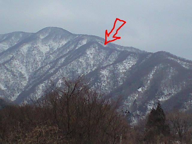 春先の登山×雪の山道×獣たちの歓迎！_d0094868_1193430.jpg